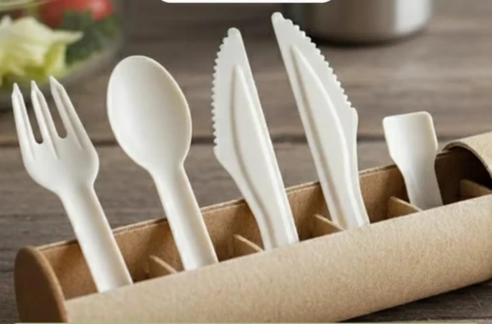 Compostable bagasse cutlery — spoons, forks and knives